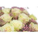 box s ekvádorskými růžemi